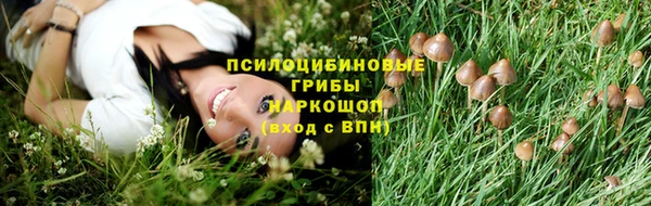 spice Верея