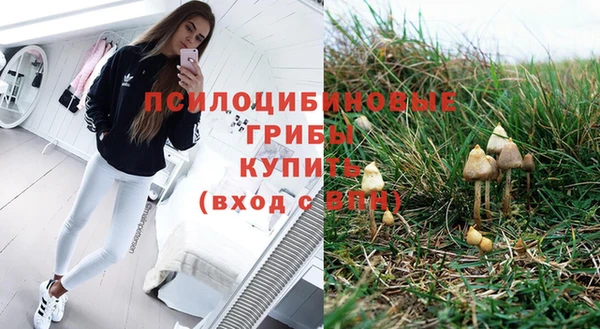 индика Верхний Тагил